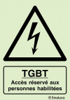 Signal de danger, TGBT avec texte "Accès réservé aux personnes habilitées"