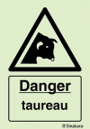 Signal de danger, taureau avec texte